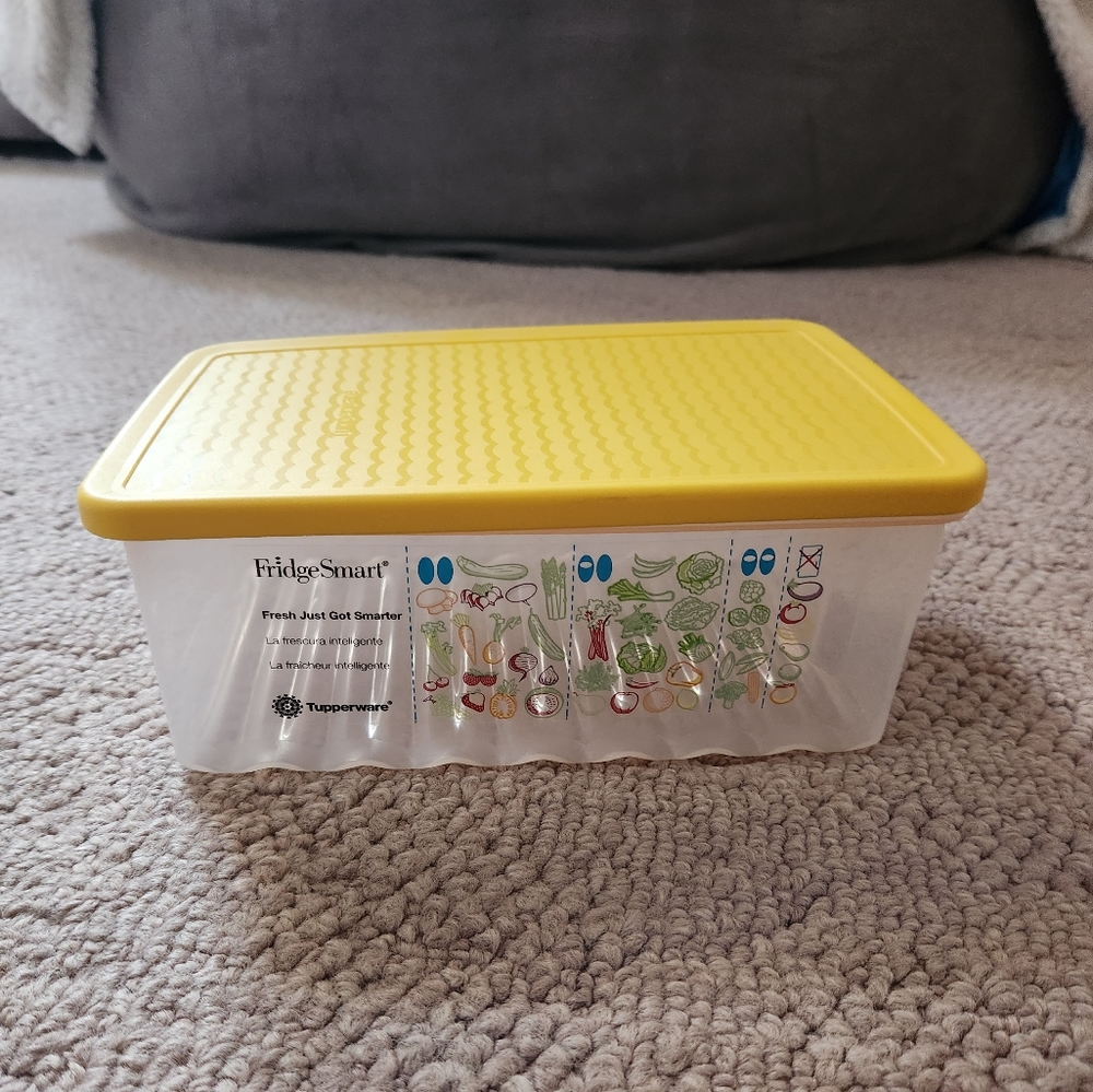 New Tupperware Frige Smart size Medium